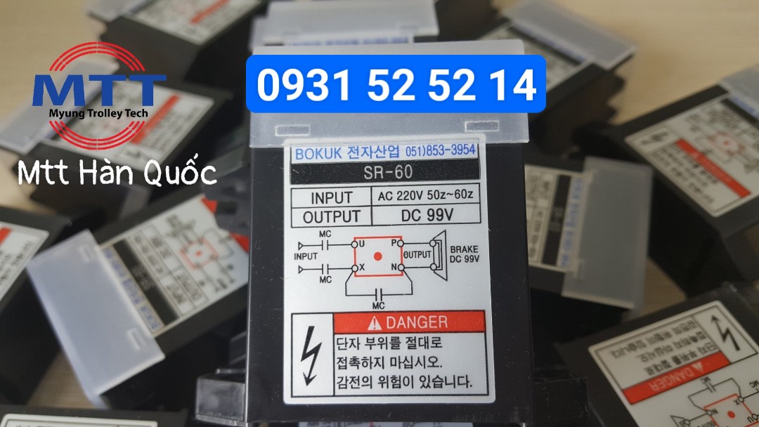 Công ty TNHH MTT Hàn Quốc Diot sr 60 bokuk cầu trục Hàn Quốc 