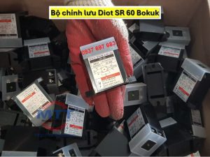 Diot cầu trục SR-60 Bokuk